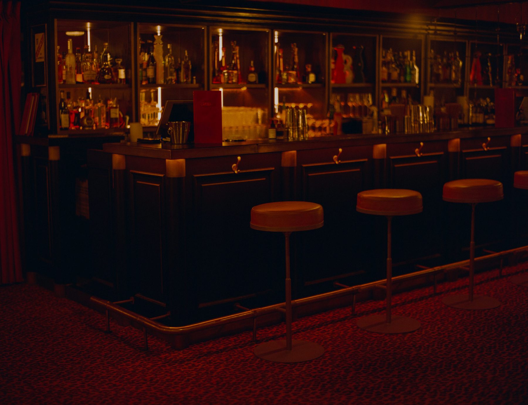 Cat Club — immagine 1